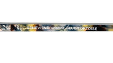Load image into Gallery viewer, Modern Genevieve - Arianna
